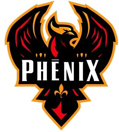 Team logo