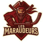Team logo