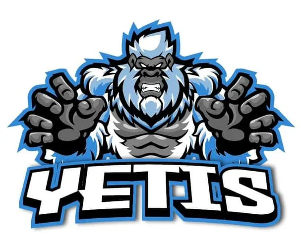 Team logo